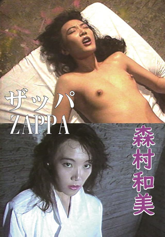 ザッパ 森村和美