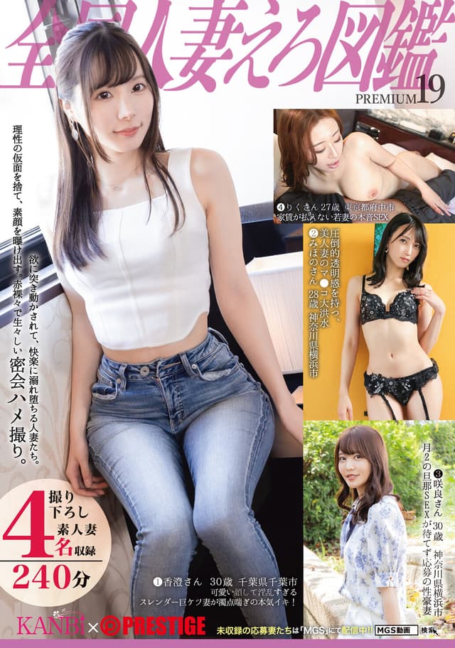 全国人妻えろ図鑑 PREMIUM 19