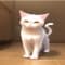 pusshiikyatto