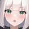 meganeero