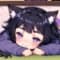 kotatsukoneko