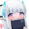 netosumi