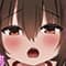 shachihoko