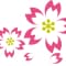 sakuraya