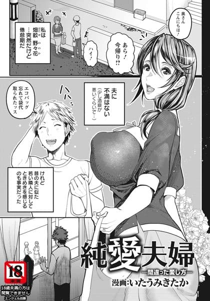 純愛夫婦 〜間違った愛し方〜【単話】