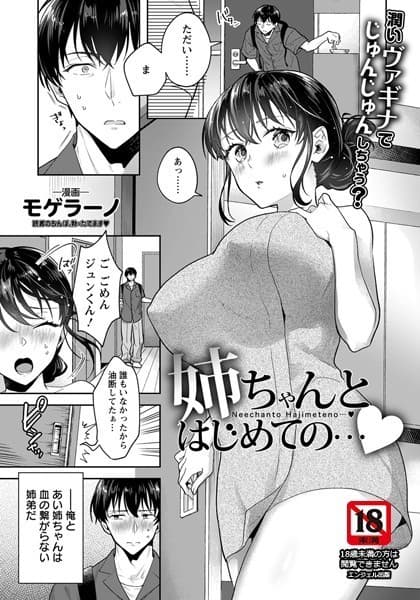 姉ちゃんとはじめての…【単話】