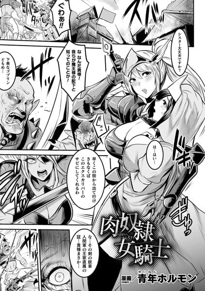 肉奴●女騎士【単話】