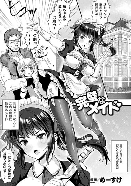 完璧なメイド【単話】