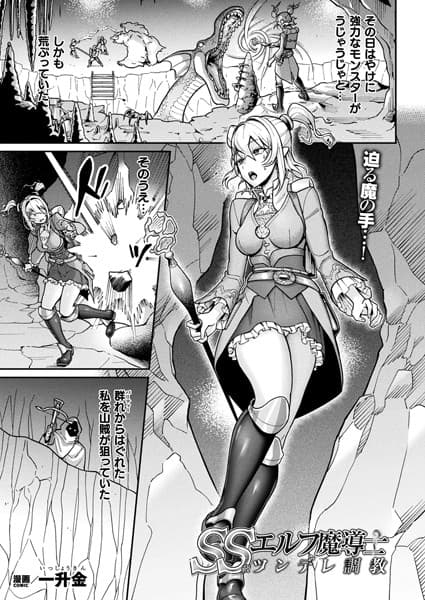 SS級エルフ魔導士 ツンデレ調教【単話】