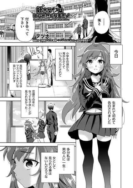 好きな子はいじめたくなるモノ