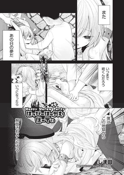 はっぴーはーれむぱーてぃ（単話）