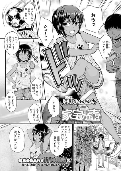 家宝の壺