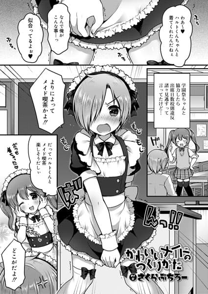 かわいいメイドのつくりかた