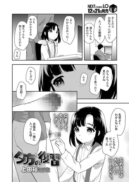 夕方の復習