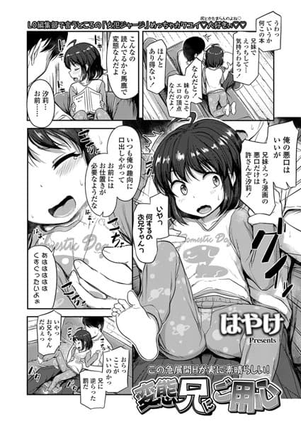 変態兄にご用心