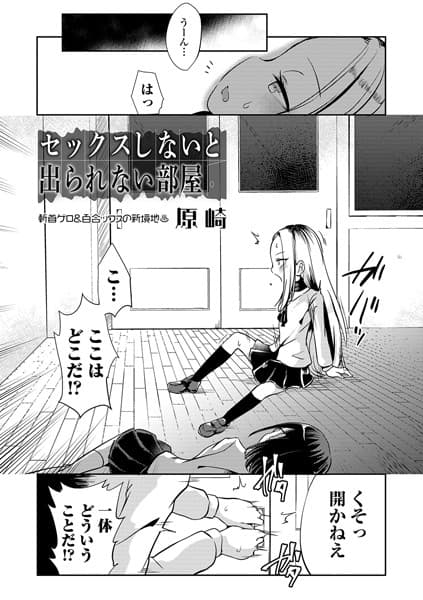 セックスしないと出られない部屋