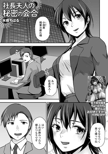 社長夫人の秘密の会合