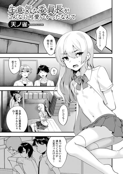 生意気な委員長がこんなに可愛かったなんて