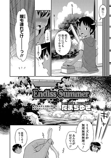 Endless Summer