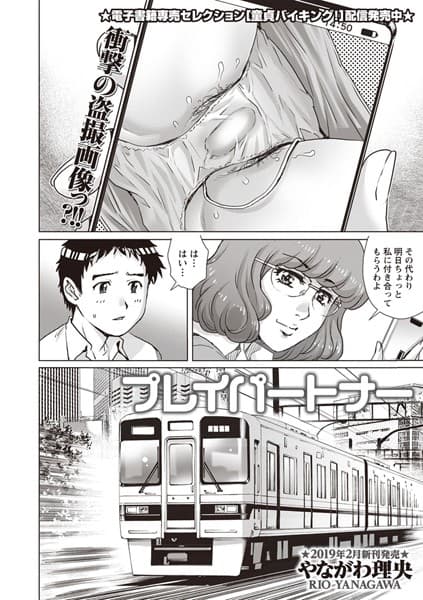 プレイパートナー