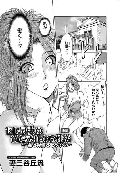 セレブ妻の満たされない性活 〜金と労働とセックス〜 後編