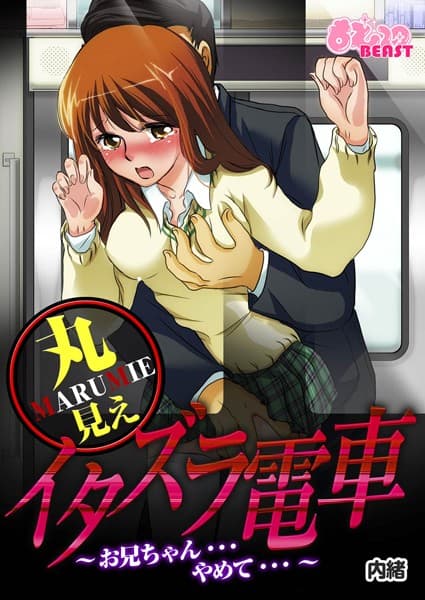 丸見えイタズラ電車