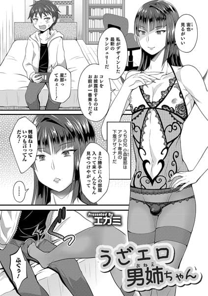 うざエロ男姉ちゃん
