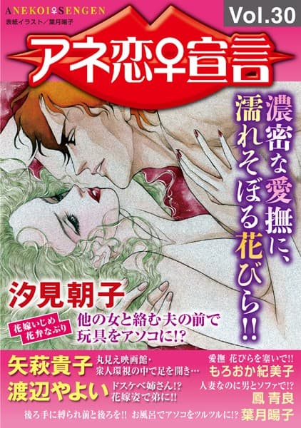 アネ恋♀宣言 Vol.30