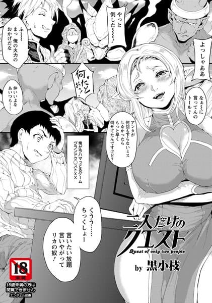 二人だけのクエスト【単話】