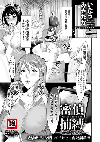 密偵捕縛 〜地下室の電気責め〜【単話】