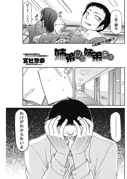 姉弟以上姉弟未満