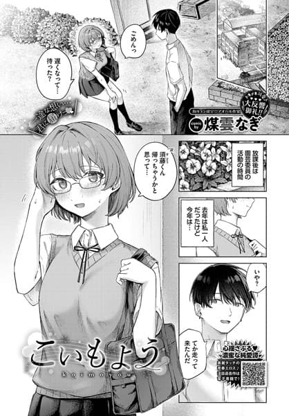 こいもよう