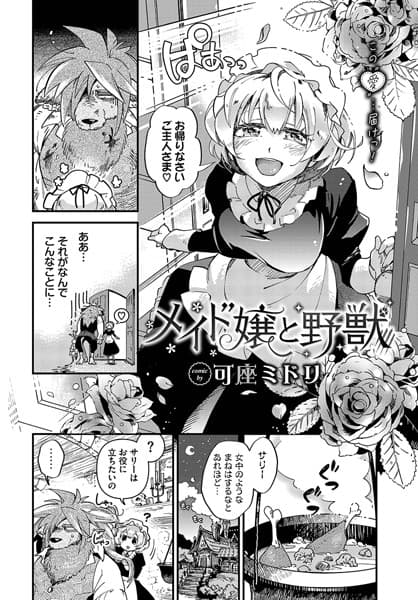 メイド嬢と野獣
