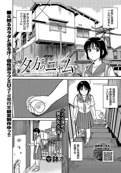 夕方のニャム