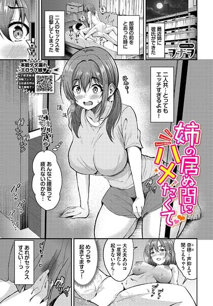 姉の居ぬ間にハメたくて