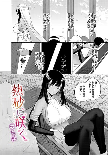 熱砂に咲く