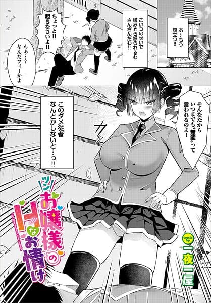 ツンお嬢様のHなお情け（単話）