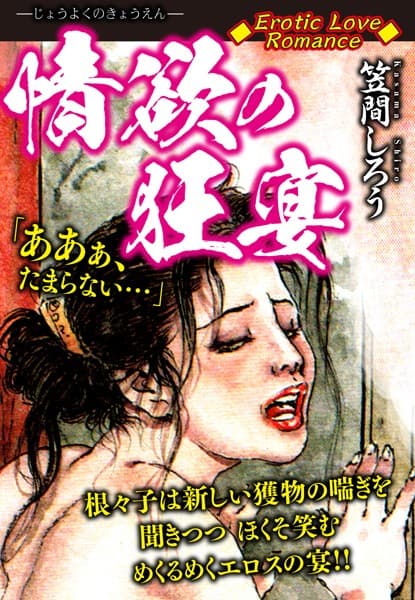 Erotic Love Romance 情欲の狂宴