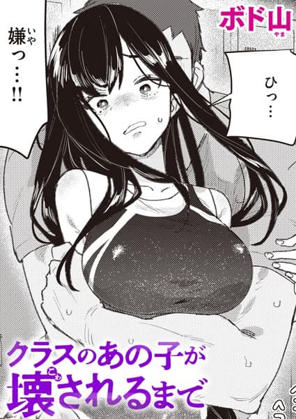 クラスのあの子が壊されるまで