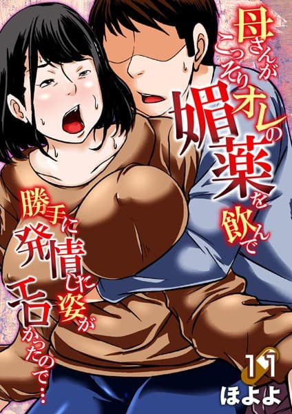 母さんがこっそりオレの媚薬を飲んで勝手に発情した姿がエロかったので… 11