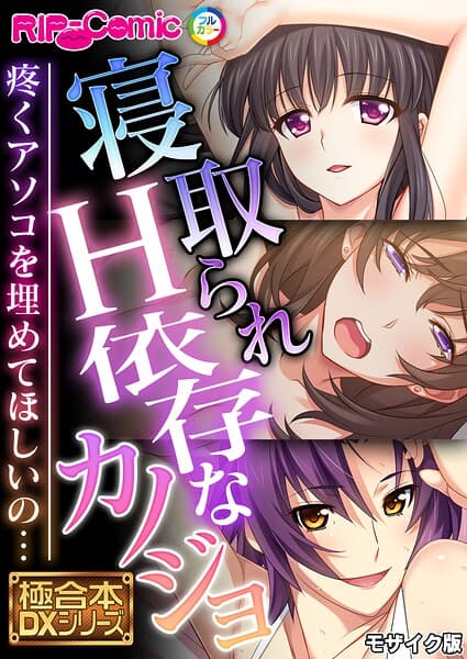極合本DXシリーズ モザイク版