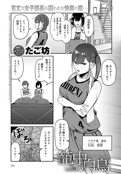 籠中の白鳥