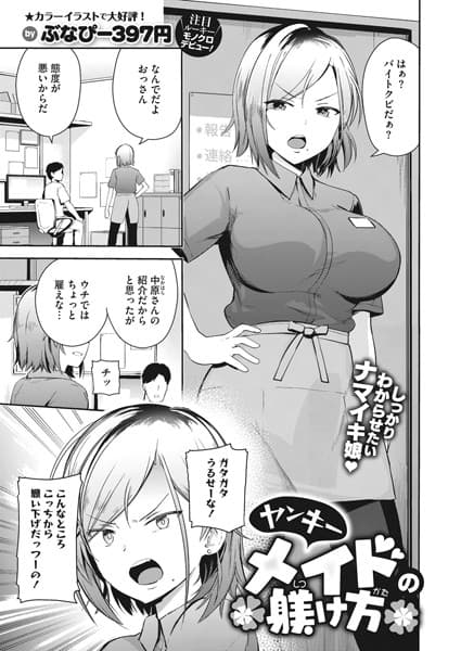 ヤンキーメイドの躾け方
