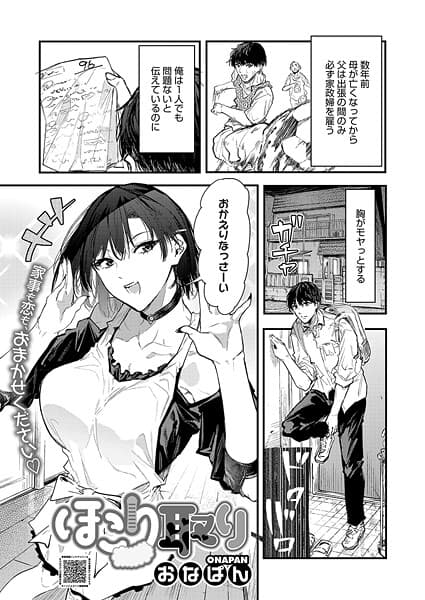 ほこり取り