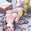 浜田遊歩