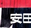 安田秀一 profile