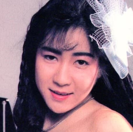 藤田容子 profile
