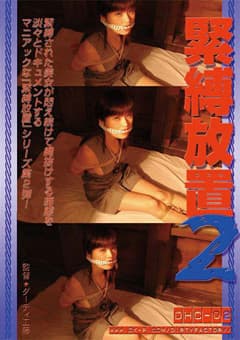 緊縛放置2
