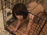 俺と彼女の飼育生活