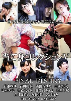 当て身コレクション5 FINAL DESTINY